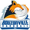 logo domicile