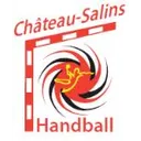 logo domicile